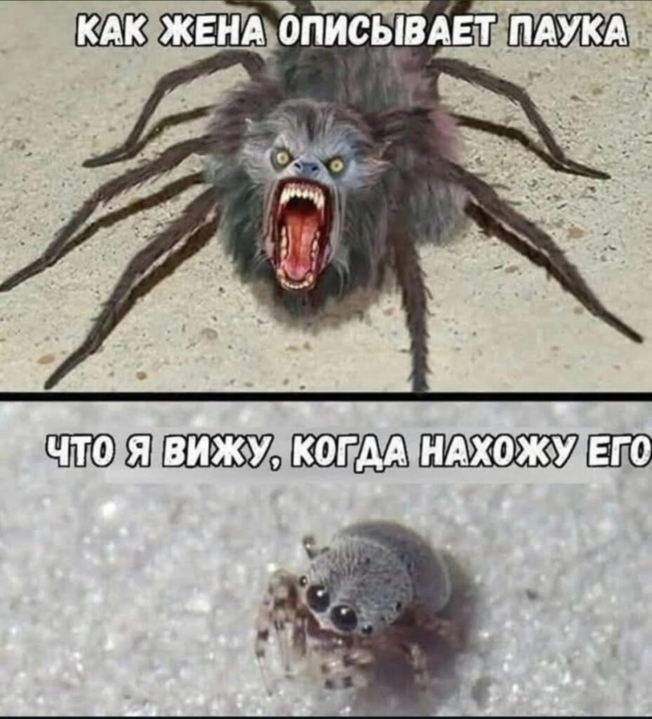 Мем от Батя