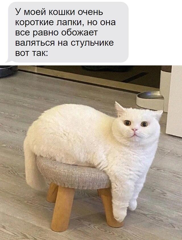 Мем от Лорд Чебурек