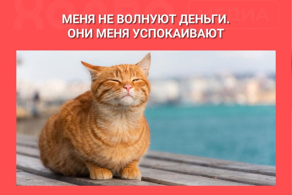 Щас ещё пару мемчиков про котов и поду ещё делать другие