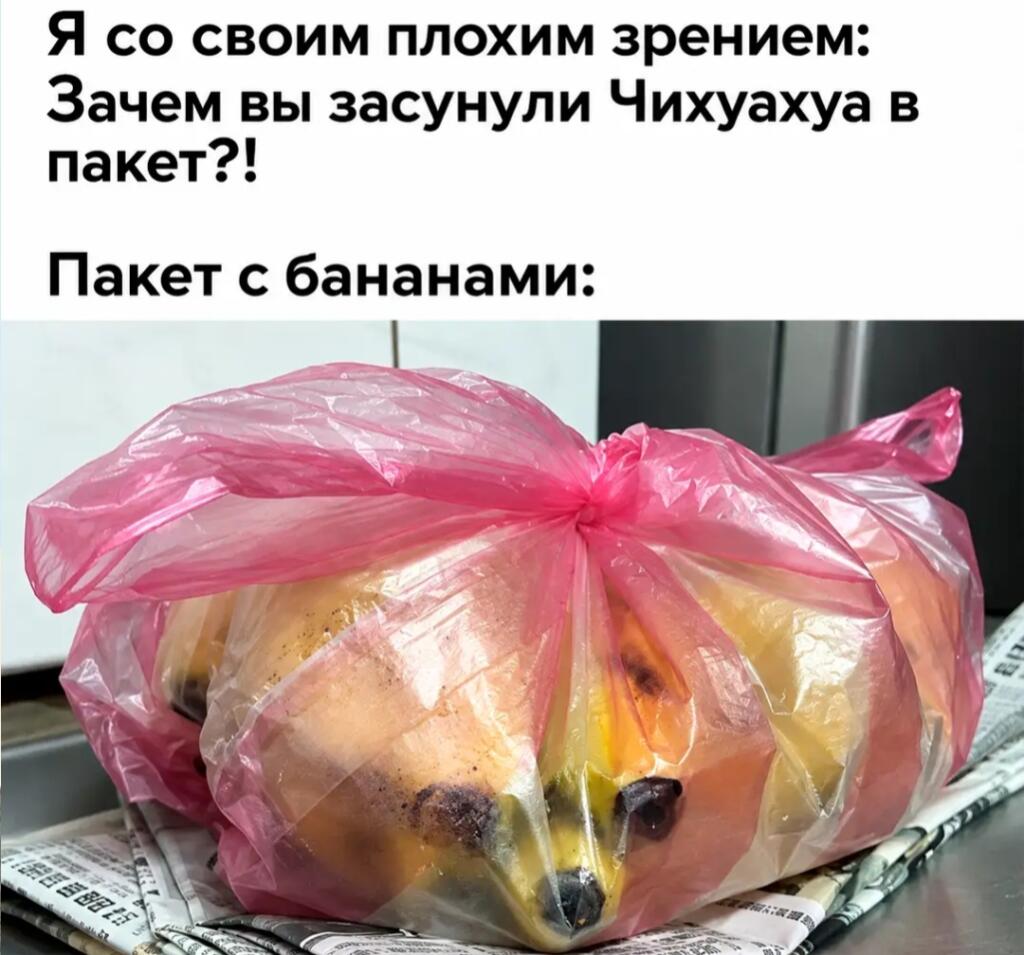 Пакет с бананами, которые из-за формы и цвета выглядят как морда собаки породы чихуахуа