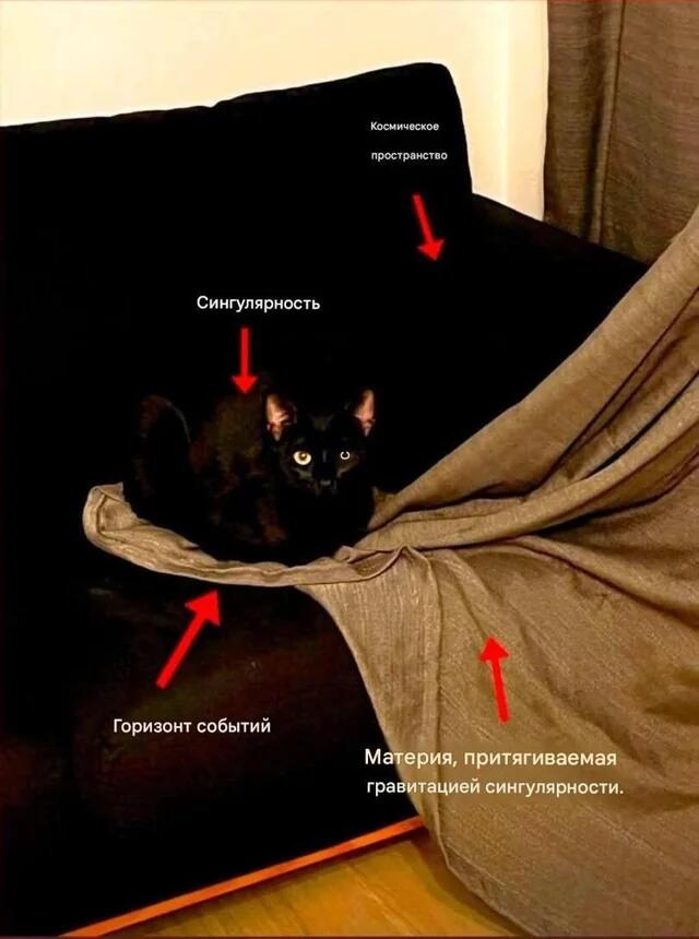 Чёрный кот сидит на диване, обёрнутый одеялом, подписан как сингулярность, а складки ткани — как горизонт событий чёрной дыры