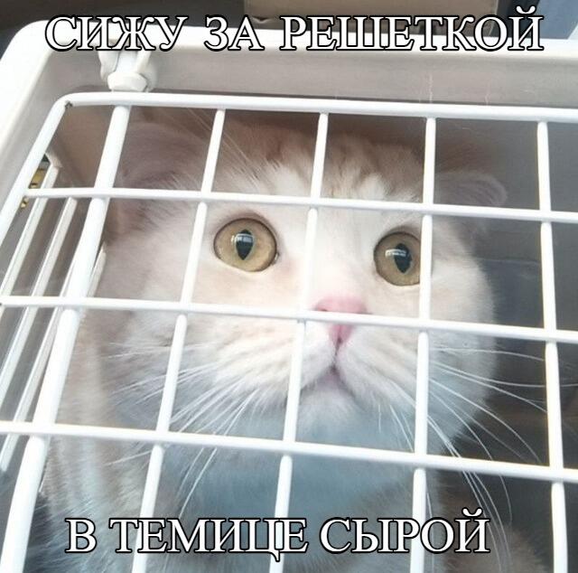 Мем без подписи