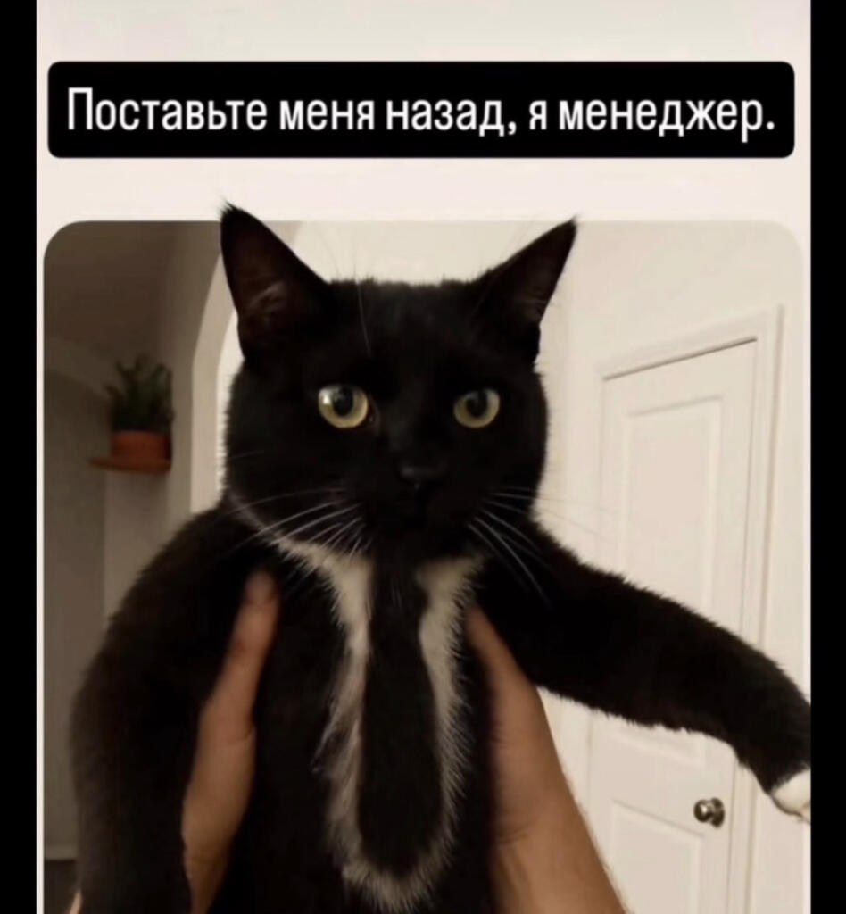 Мем от Батя