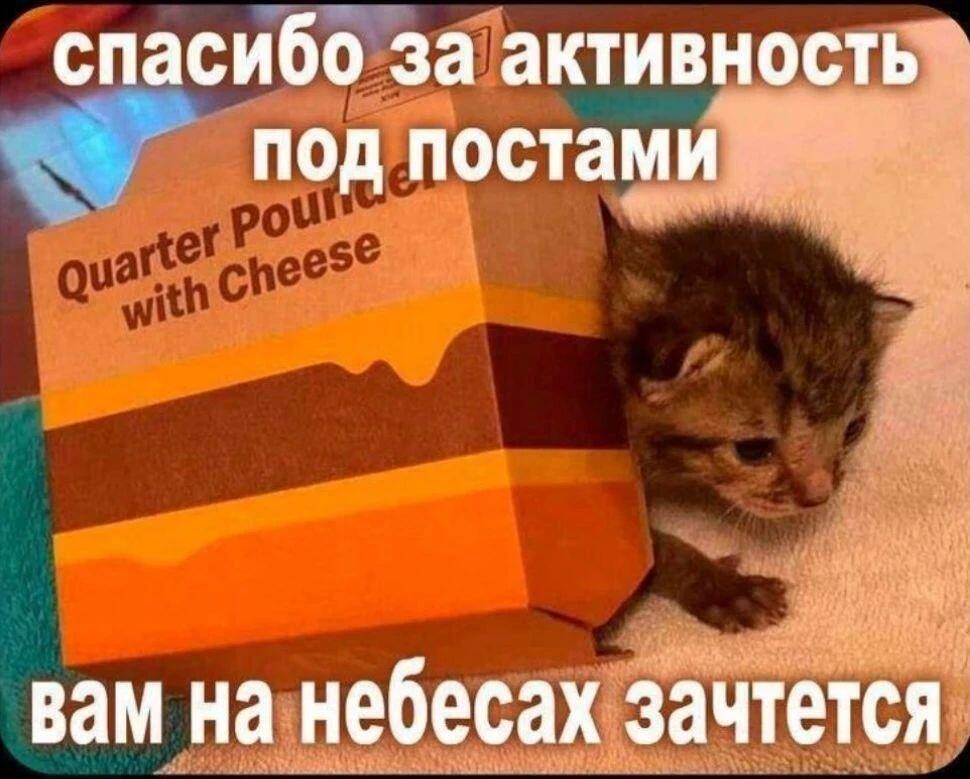 Мем без подписи