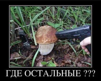 ГОВОРИ ГДЕ!