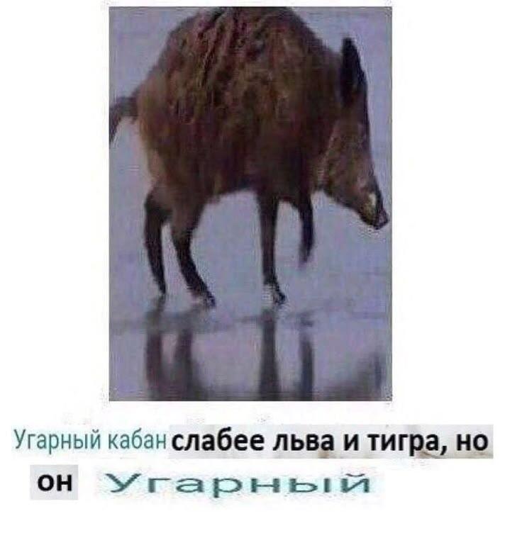 По факту