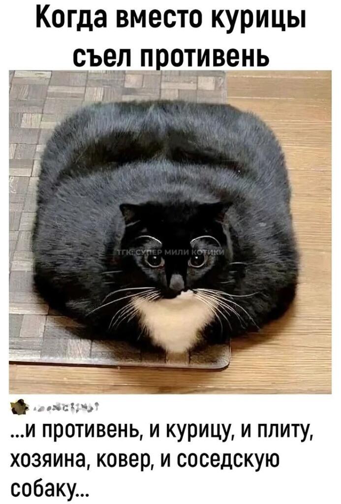 Мем от Ироник{ПЛМ}