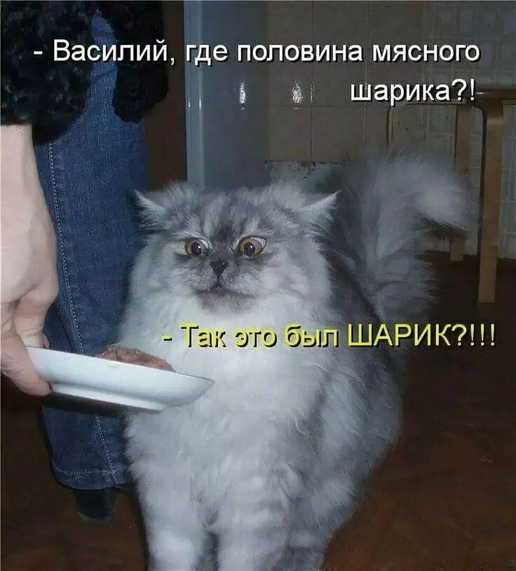 КАК подписаться Я ТУПОЙ Я НЕ ПОНИМАЮ ПИШИТЕ В КОМЕНТЫ