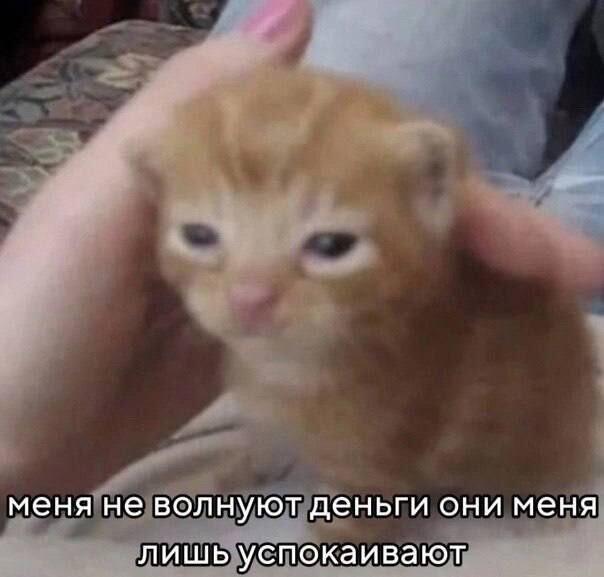 Мем