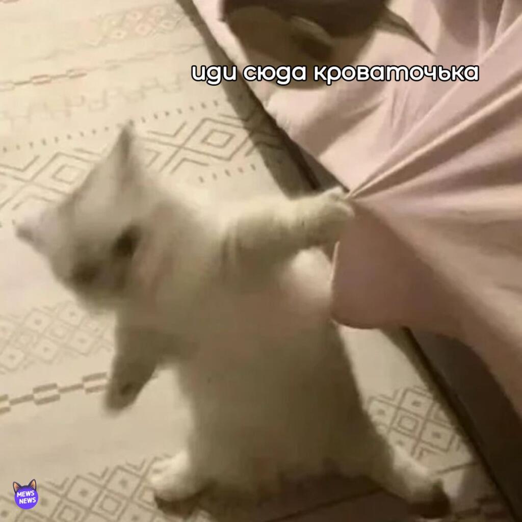 Мем без подписи