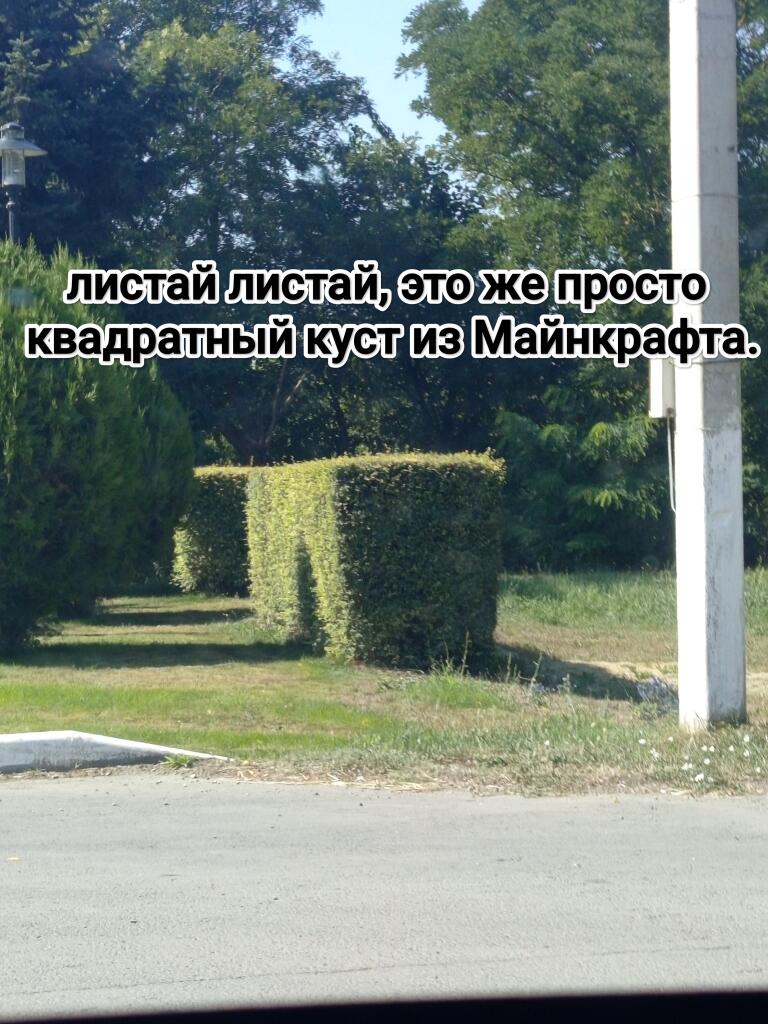 Мем от Кики Кусева