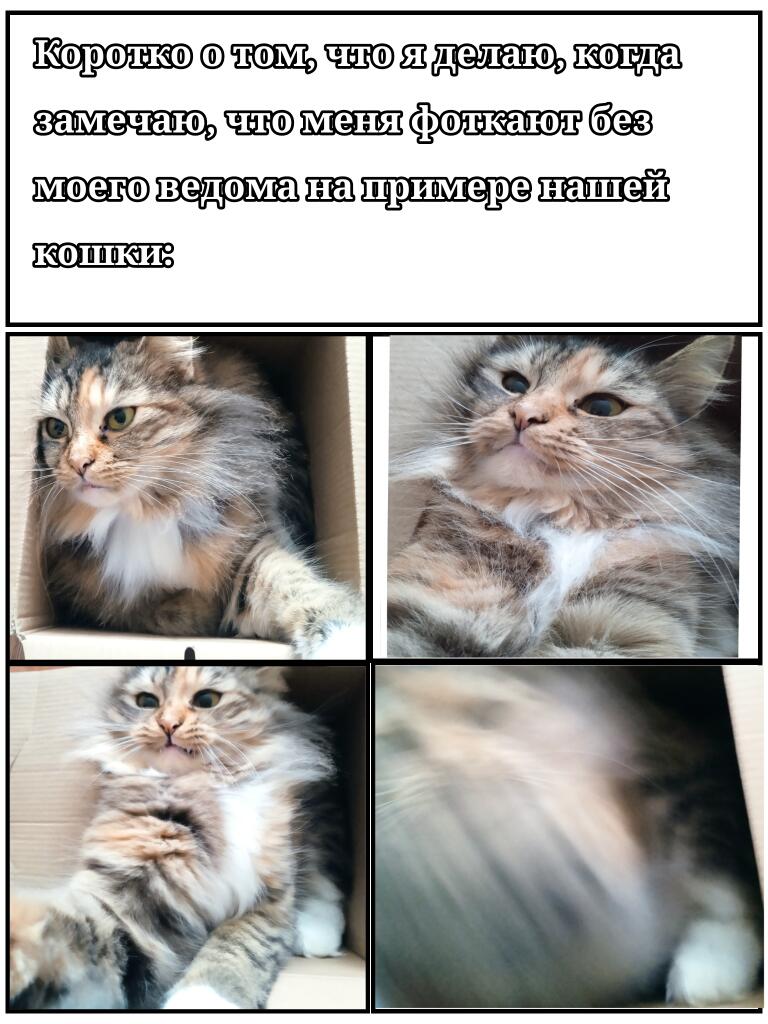 Мем от Катеридзе.