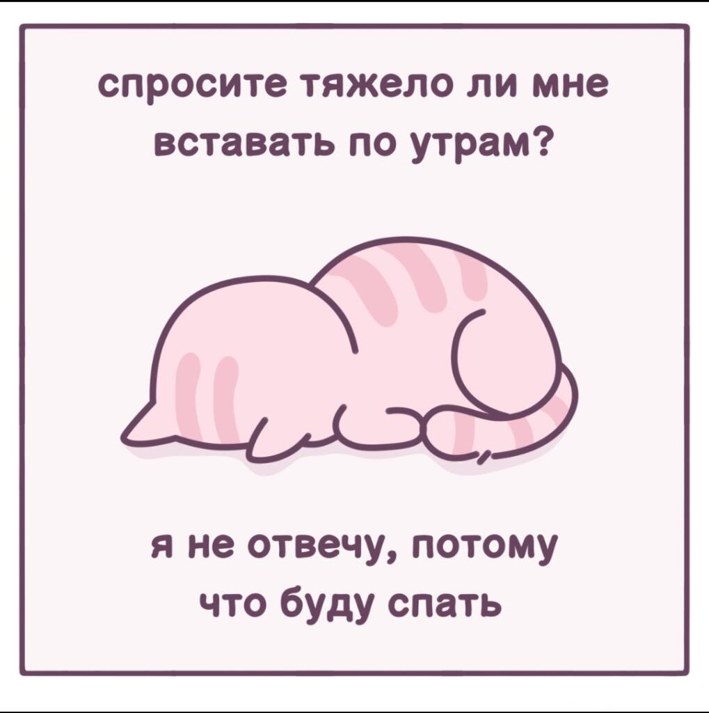 😴
