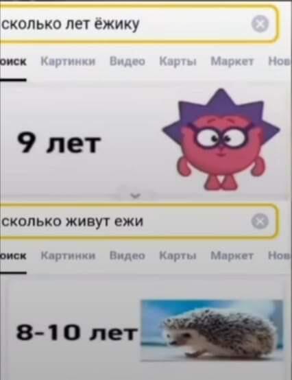 Ёжик:(