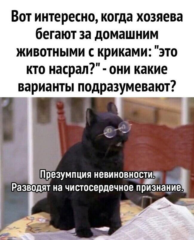 Мем от Мемный