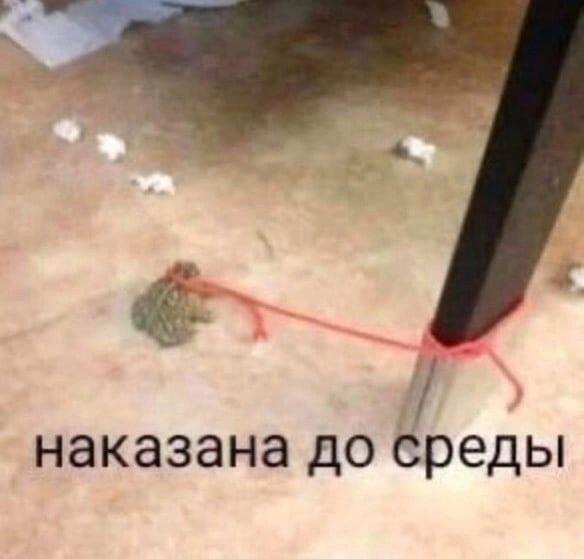 Мем от Froggy