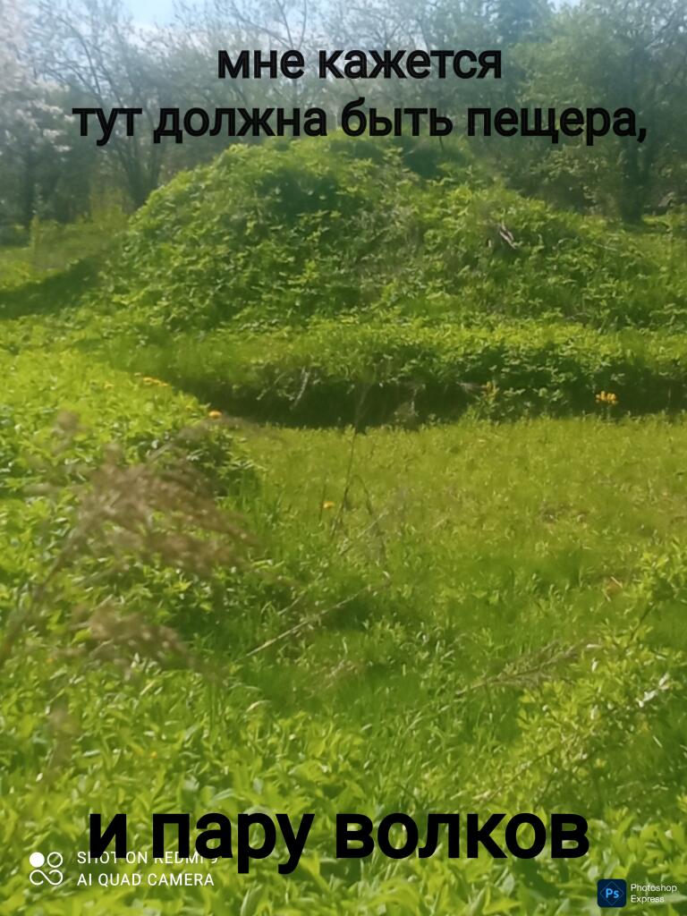 без ревика никак