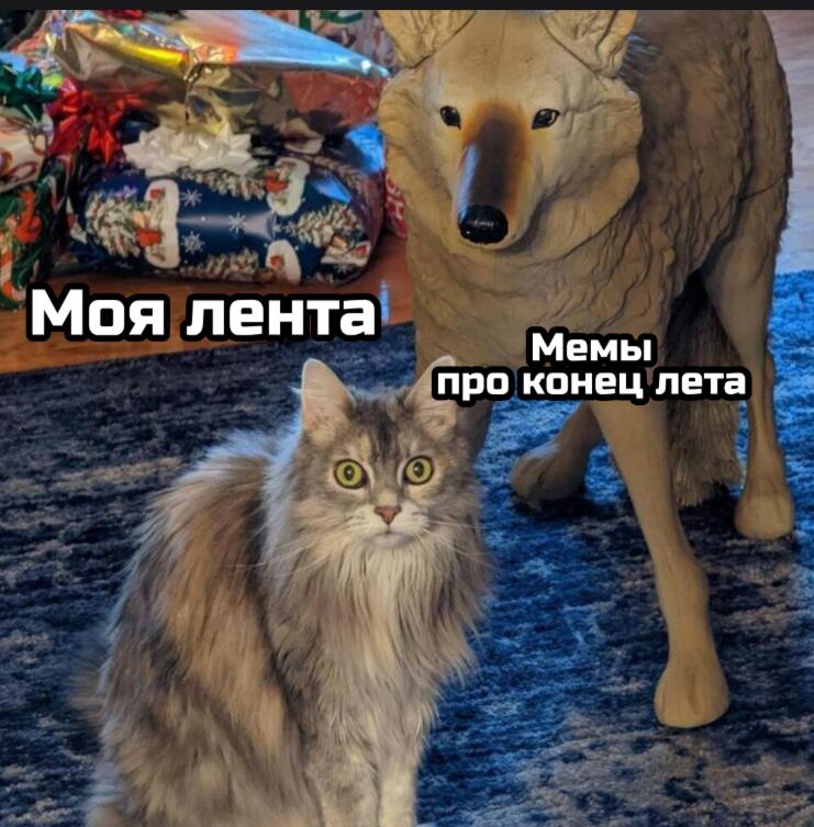хочу в видео