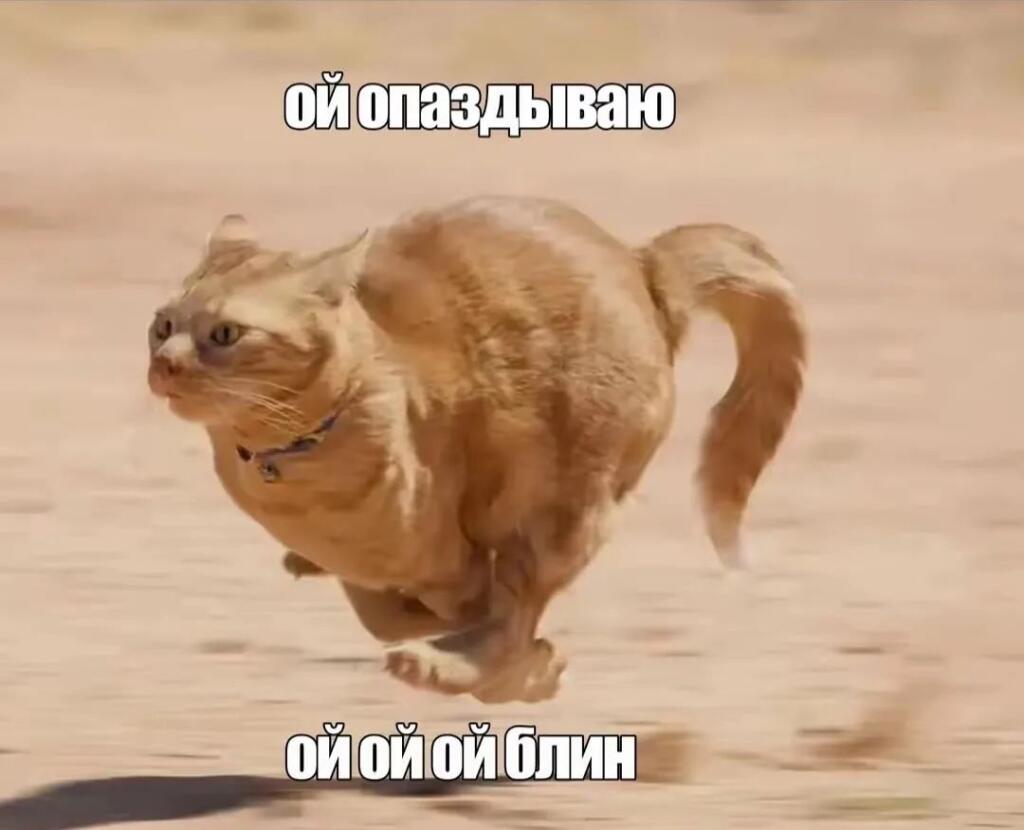 Сегодня у нас перед сном угадайте что?
