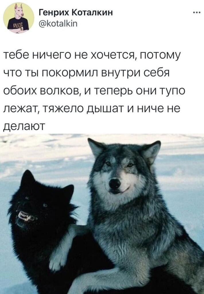 Мем от Mishutkaᐖ [ПЛМ]