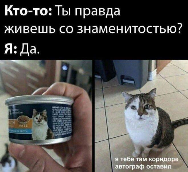 Мем без подписи