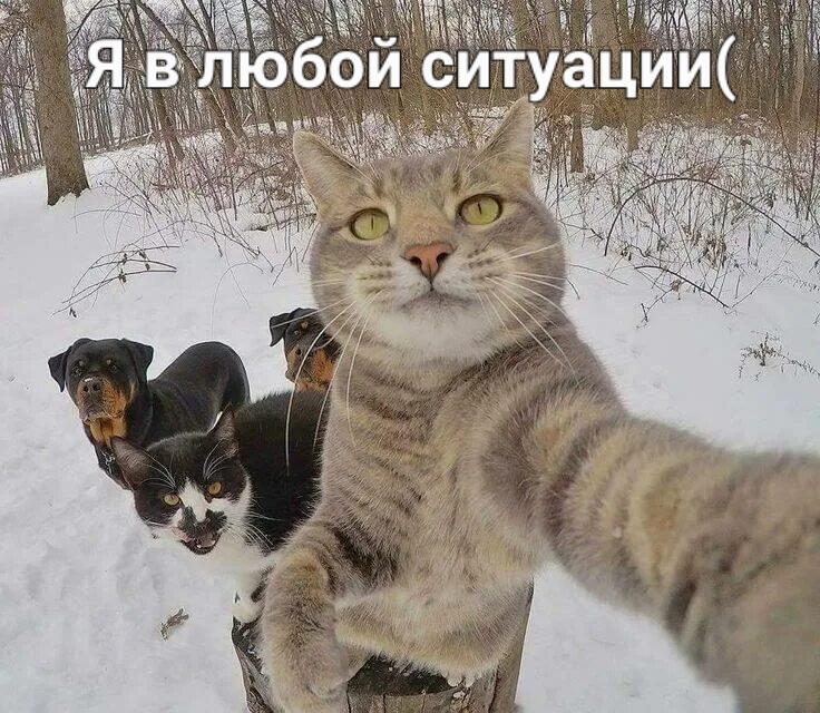Ну да(
