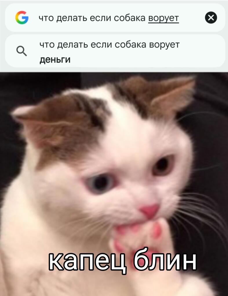 Видали? Это вам не еду на столе защищать, тут противособаковая защита нужна