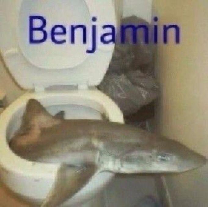 Мем от Мф Дуб
