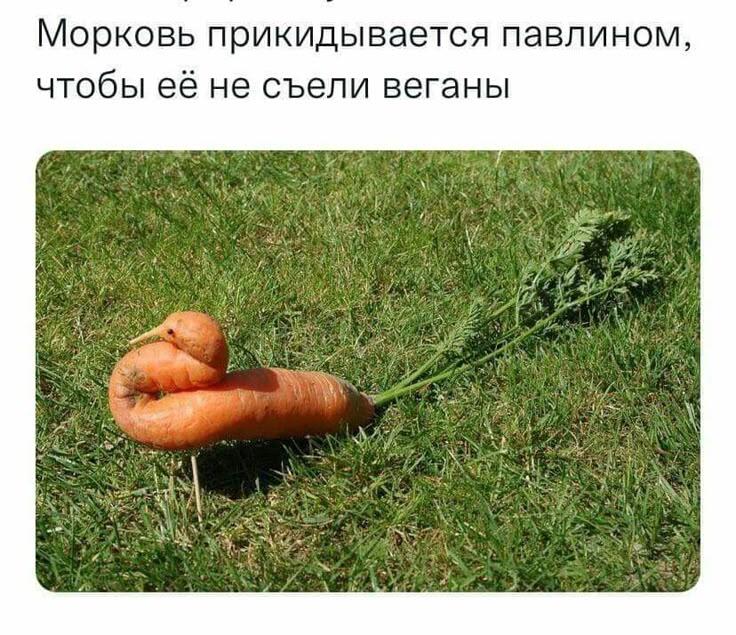 Мем от 🌸💥|цвяточный ад {ПЛМ}