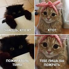 Говорят, что после этих слов пожиратель тьмы впал в глубокую депрессию😢