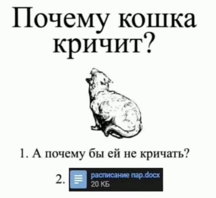Нашёл жизненный мем для мелони, единственное что могу пожелать своему...