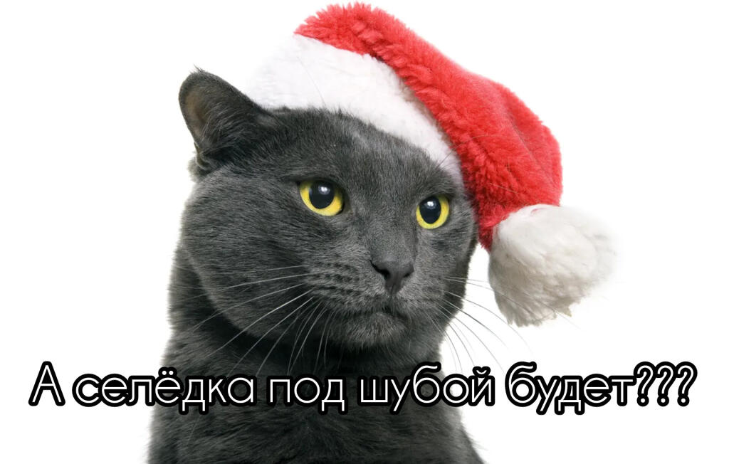 #Нгскоро