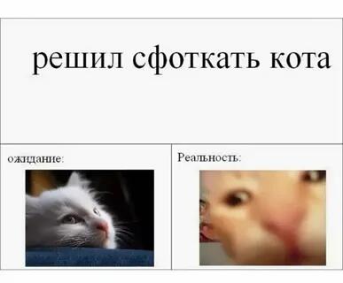 Мем от саня4оус