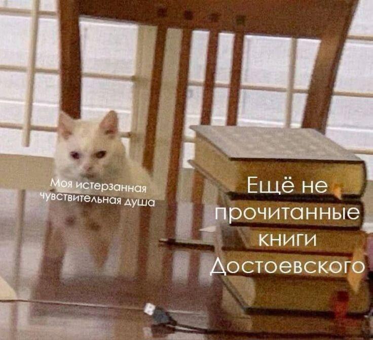 Чёрт, моя психика скоро не выдержит