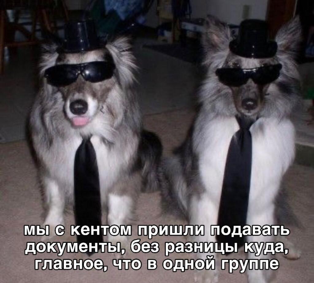 Мем от misfortune official