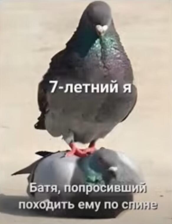 МЭМЧИК