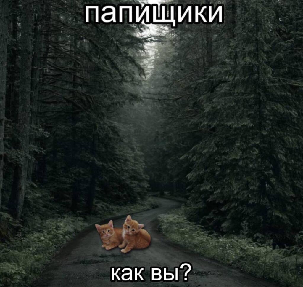 Мем от misfortune official