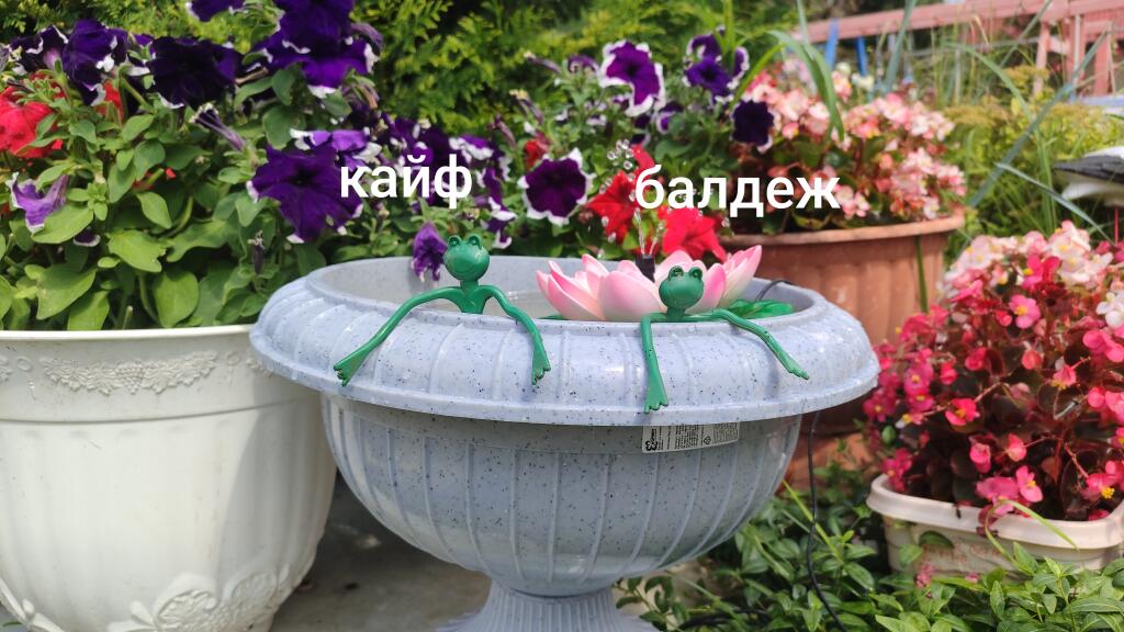 Пов:когда забыли что то задать на лето
(Такое вообще бывает?)
+фото без надписей