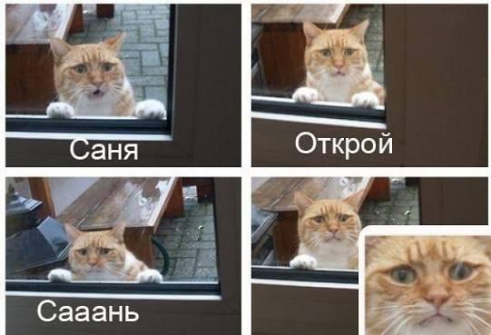 я успешно украл мем