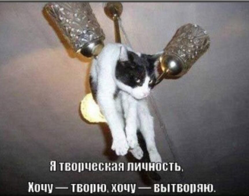 ㅤ