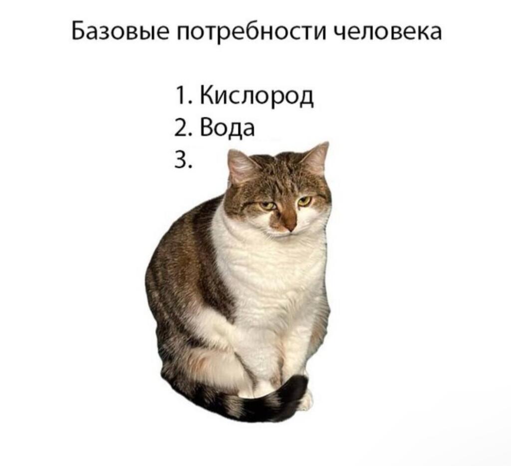 Мем от misfortune official