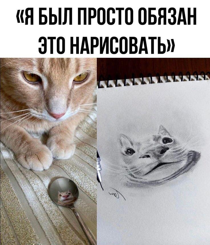 Мем от Элизабетка