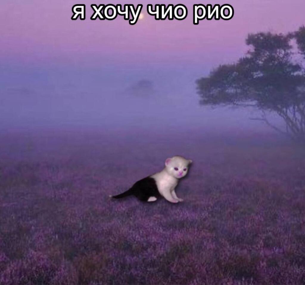 Мем от misfortune official