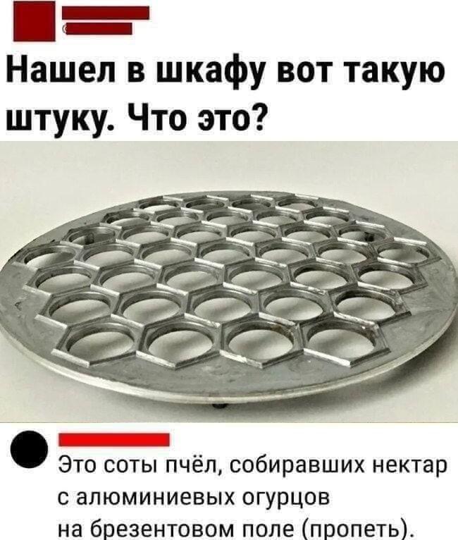Доктор Роботника явно приложил руку к этому