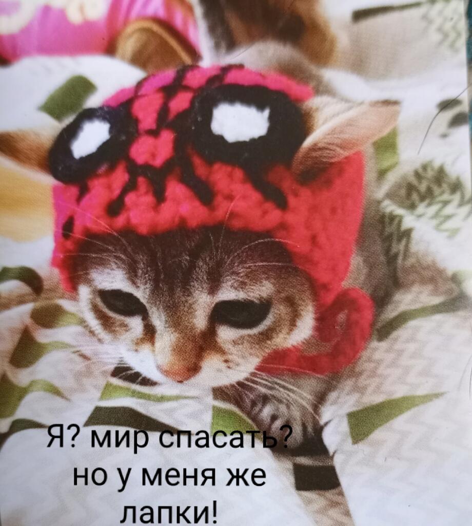 Мем от Мировая ассоциация мышей [ПЛМ]