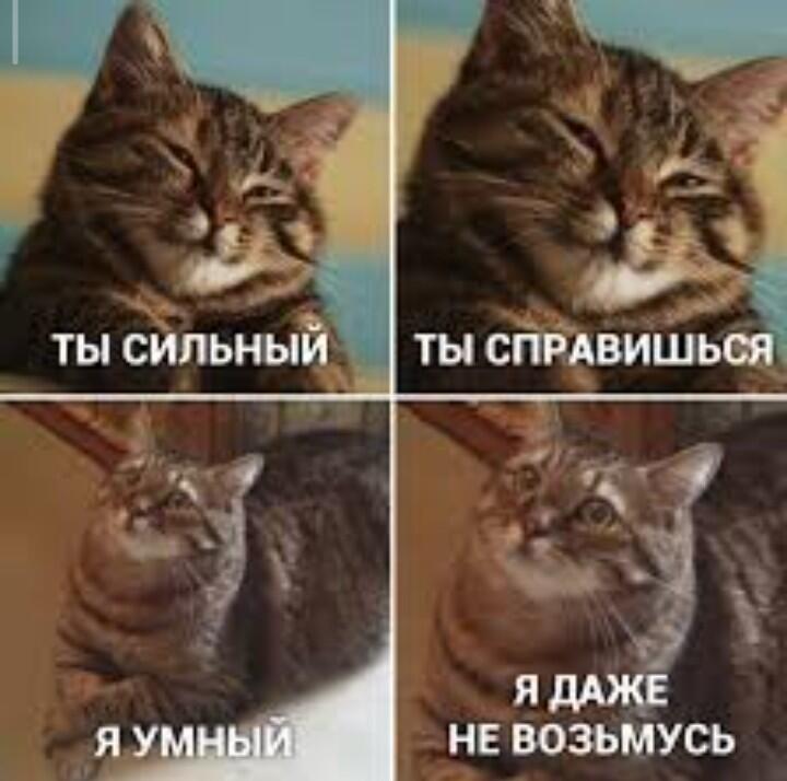 Я тоже