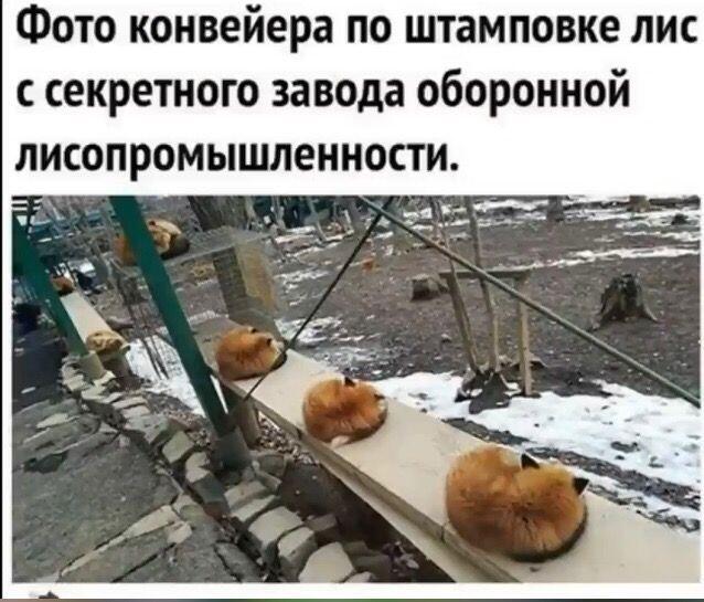 Секретное оружие рептилоидов