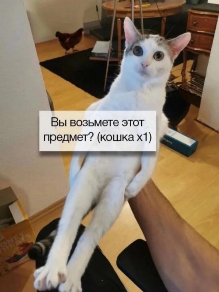 Передайте дальше