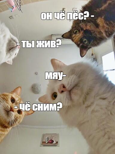 о чём они?