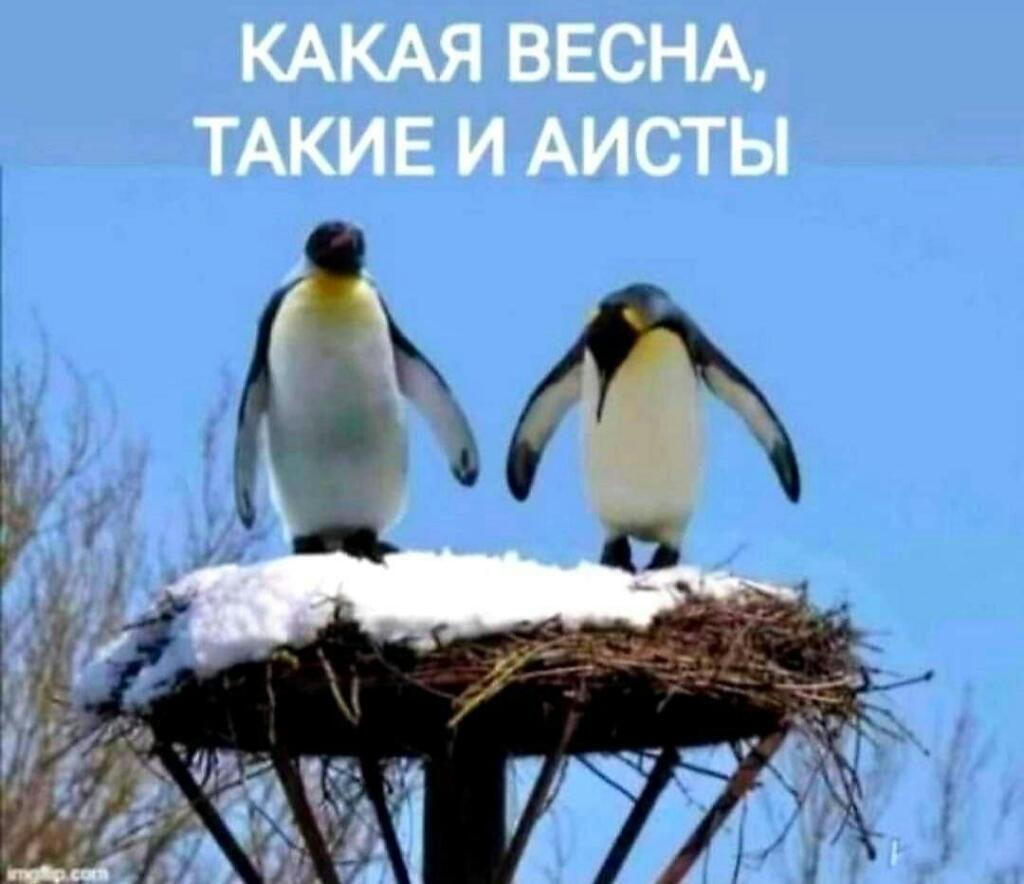 Так и живём